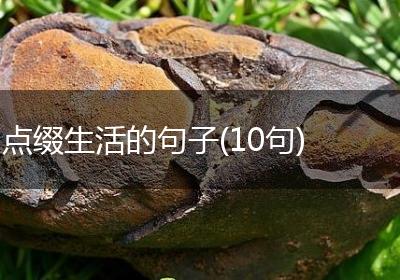 点缀生活的句子(10句)