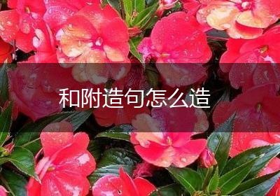 和附造句怎么造