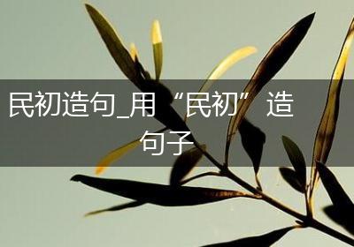民初造句_用“民初”造句子