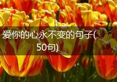爱你的心永不变的句子(50句)