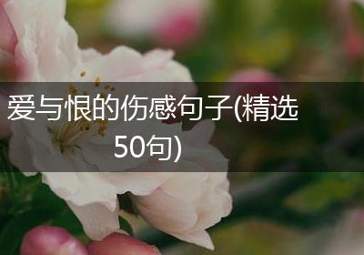 爱与恨的伤感句子(精选50句)