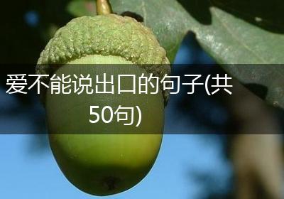 爱不能说出口的句子(共50句)