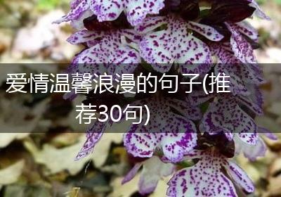 爱情温馨浪漫的句子(推荐30句)