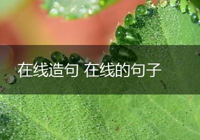 在线造句 在线的句子