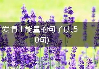 爱情正能量的句子(共50句)