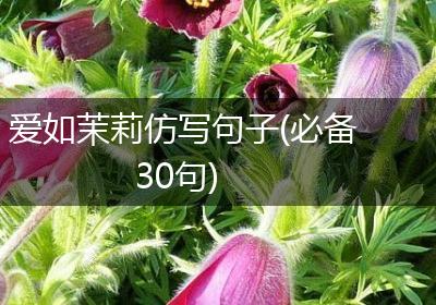 爱如茉莉仿写句子(必备30句)