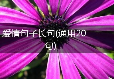 爱情句子长句(通用20句)