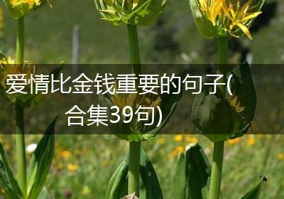 爱情比金钱重要的句子(合集39句)