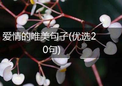 爱情的唯美句子(优选20句)