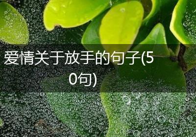 爱情关于放手的句子(50句)