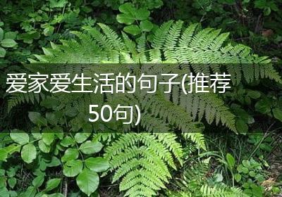 爱家爱生活的句子(推荐50句)