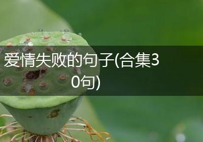 爱情失败的句子(合集30句)