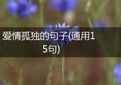 爱情孤独的句子(通用15句)
