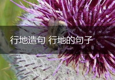 行地造句 行地的句子