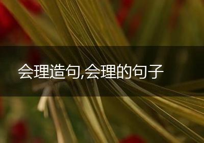 会理造句,会理的句子