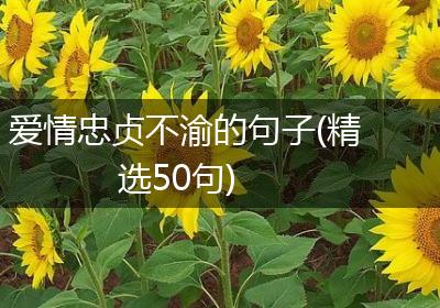 爱情忠贞不渝的句子(精选50句)