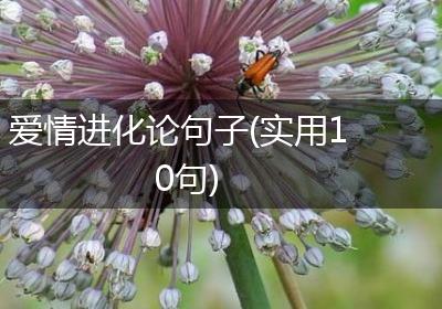 爱情进化论句子(实用10句)