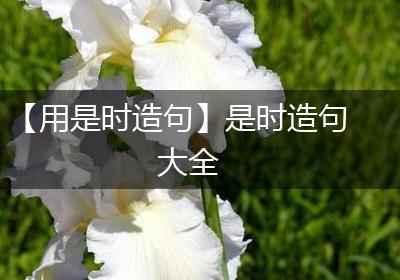 【用是时造句】是时造句大全