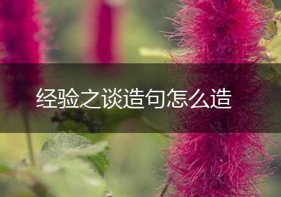 经验之谈造句怎么造