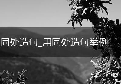 同处造句_用同处造句举例