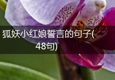 狐妖小红娘誓言的句子(48句)