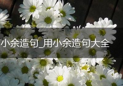 小余造句_用小余造句大全