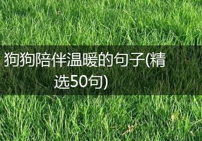 狗狗陪伴温暖的句子(精选50句)
