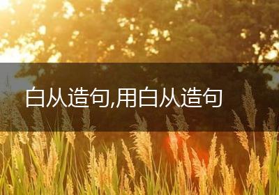 白从造句,用白从造句