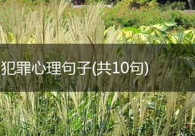 犯罪心理句子(共10句)