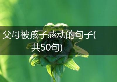父母被孩子感动的句子(共50句)