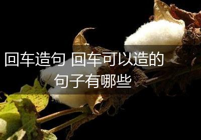 回车造句 回车可以造的句子有哪些