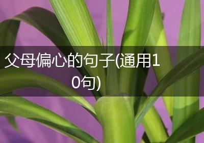 父母偏心的句子(通用10句)