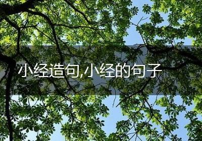 小经造句,小经的句子