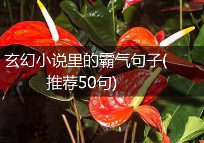 玄幻小说里的霸气句子(推荐50句)