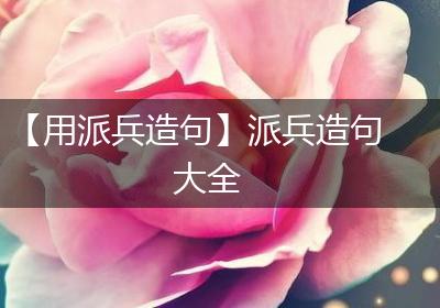 【用派兵造句】派兵造句大全