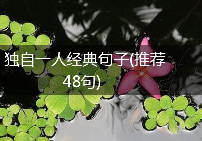 独自一人经典句子(推荐48句)