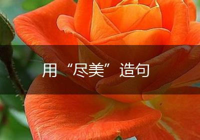 用“尽美”造句