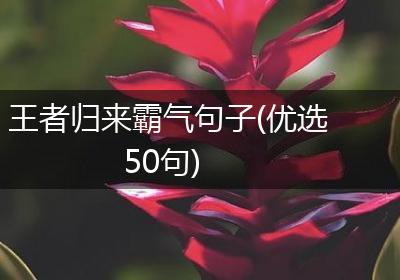 王者归来霸气句子(优选50句)