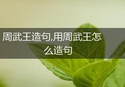 周武王造句,用周武王怎么造句