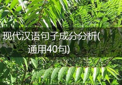 现代汉语句子成分分析(通用40句)