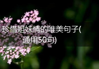 珍惜姐妹情的唯美句子(通用50句)