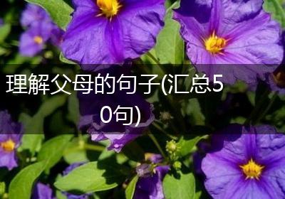 理解父母的句子(汇总50句)