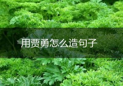 用贾勇怎么造句子