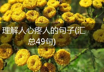 理解人心疼人的句子(汇总49句)