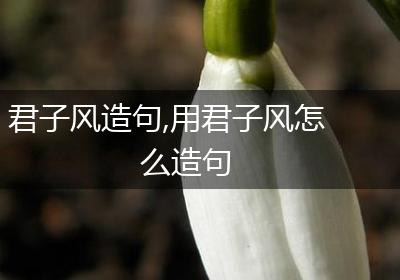 君子风造句,用君子风怎么造句