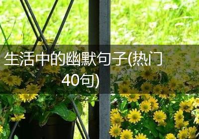 生活中的幽默句子(热门40句)