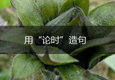 用“论时”造句