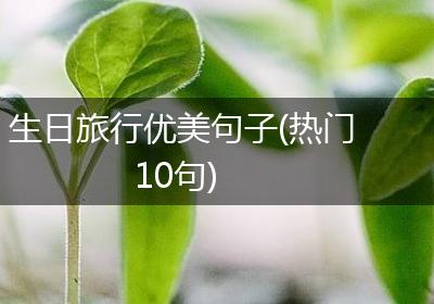 生日旅行优美句子(热门10句)