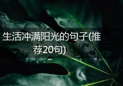 生活冲满阳光的句子(推荐20句)