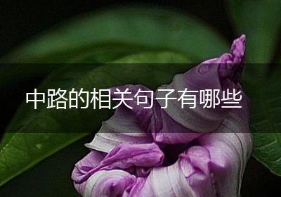 中路的相关句子有哪些